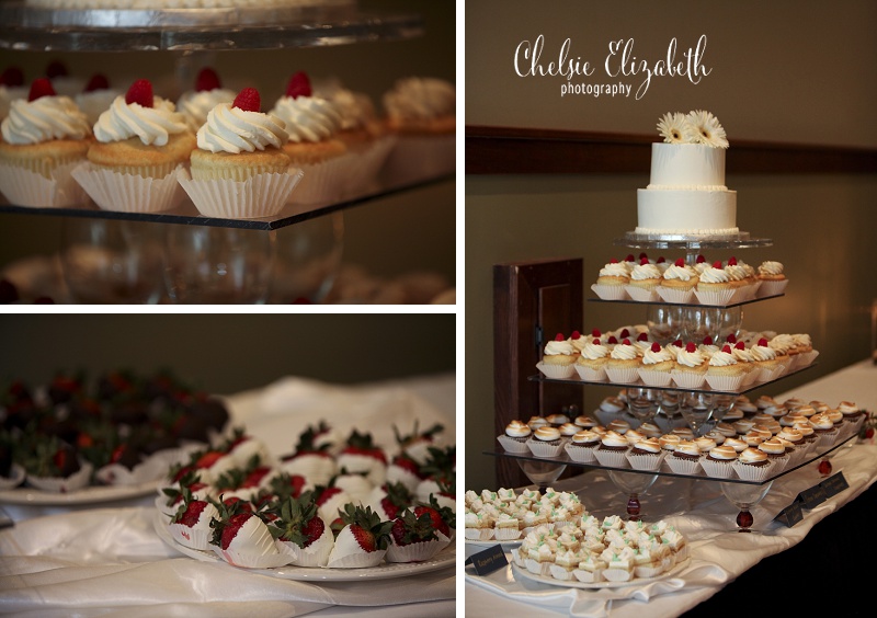 Brainerd_MN_Wedding_Pictures_Chelsie_Elizabeth_Photography