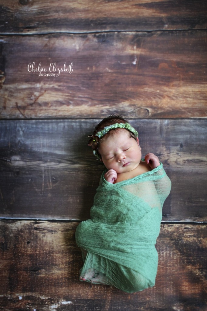 Central_MN_Portrait_Photographer_Chelsie_Elizabeth_Photography