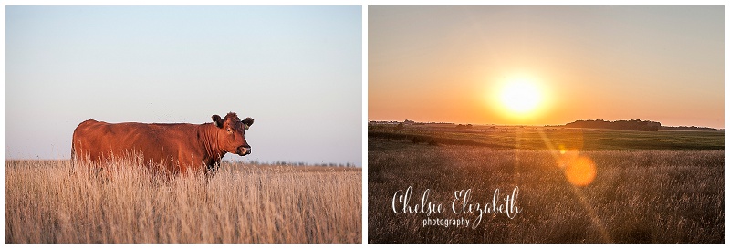 Brainerd_MN_Family_Photographer_By_Chelsie_Elizabeth_Photography_0053