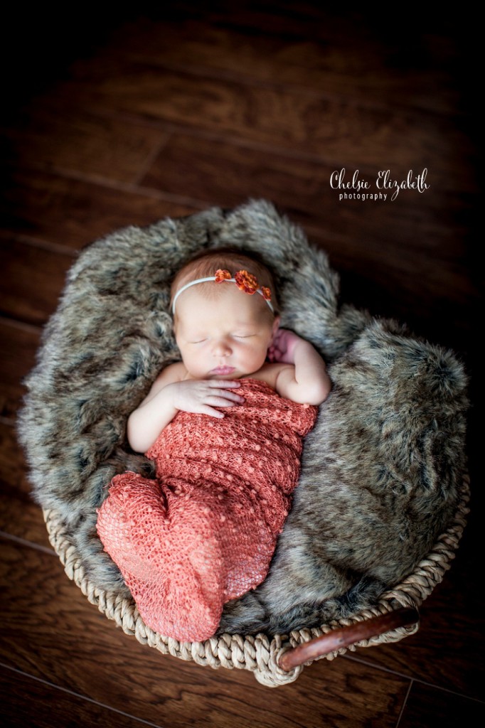 Brainerd_MN_Newborn_Photographer_Chelsie_Elizabeth_Photography_0010