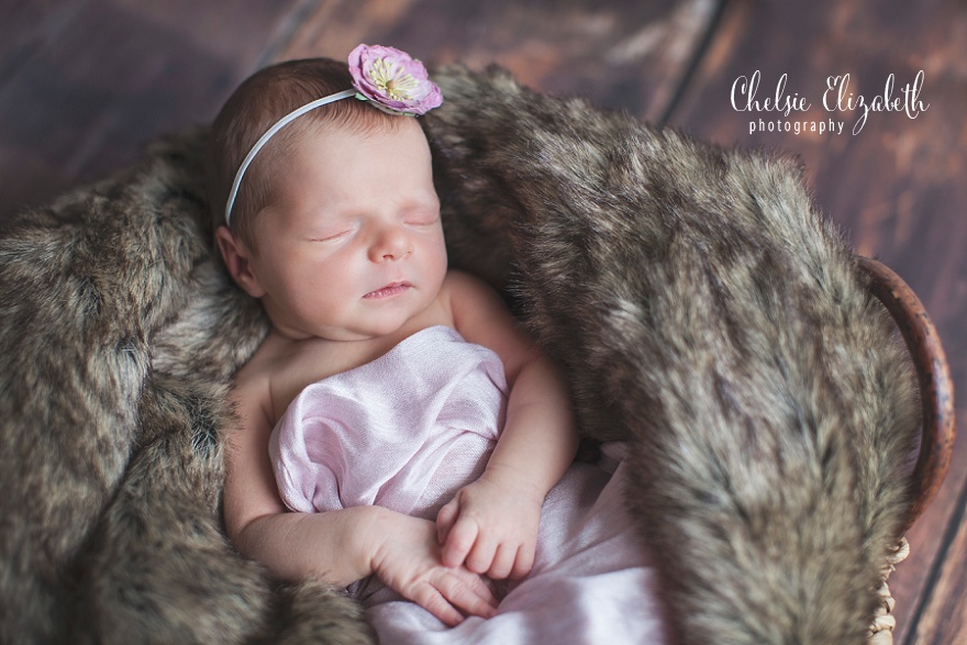 Brainerd_MN_Baby_Photography_Chelsie_Elizabeth_Photography_0010