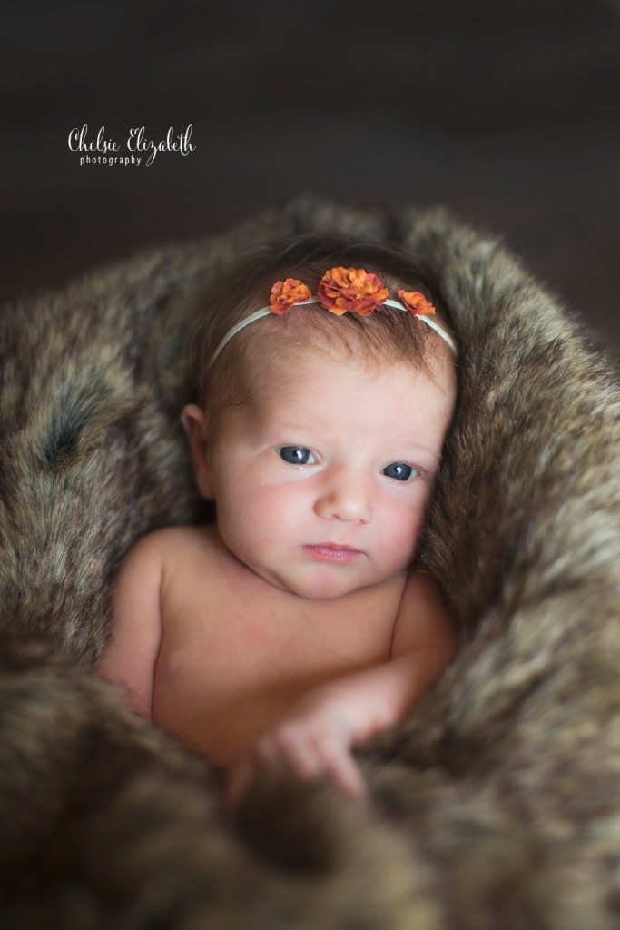 Brainerd_MN_ Newborn_Photographer_Chelsie Elizabeth_Photography_0026