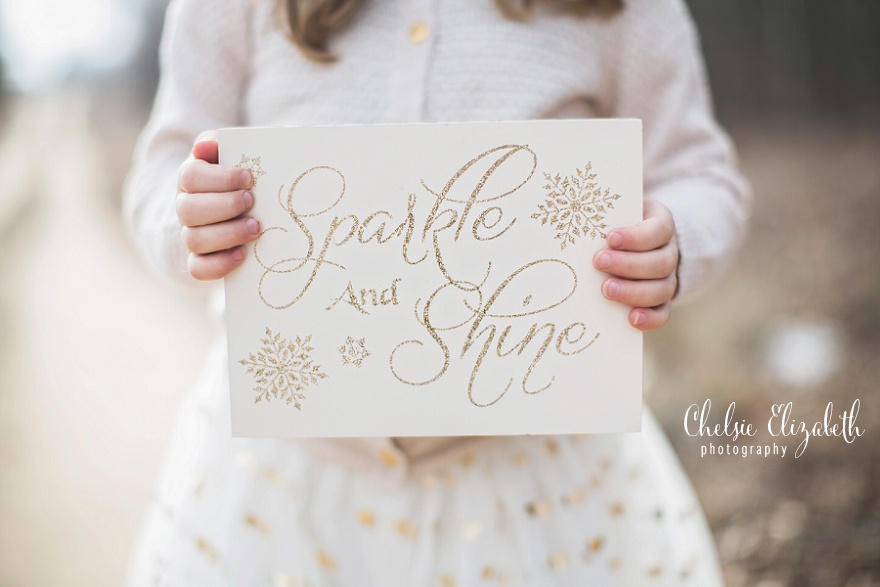 Pequot_Lakes_Family_Photographer_Chelsie_Elizabeth_Photography_0015