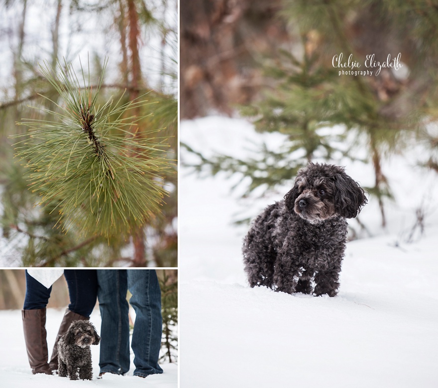 Brainerd_MN_Maternity_Photography_Chelsie_Elizabeth_Photography_0020