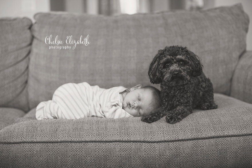 Brainerd_Newborn_Photographer_Chelsie_Elizabeth_Photography_0014