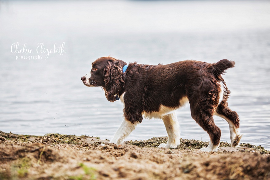 crosslake-mn-wedding-photographer-chelsie-elizabeth-photography_0036