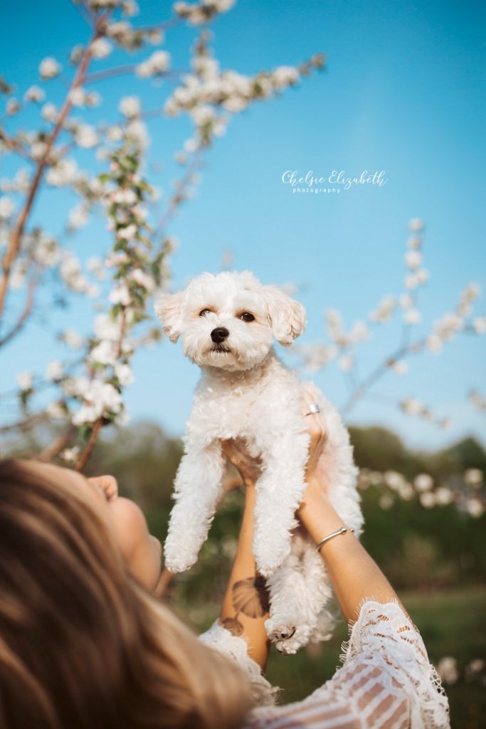 bride and her puppy