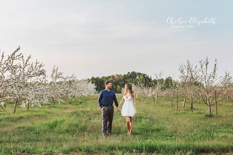 apple orchard photo session